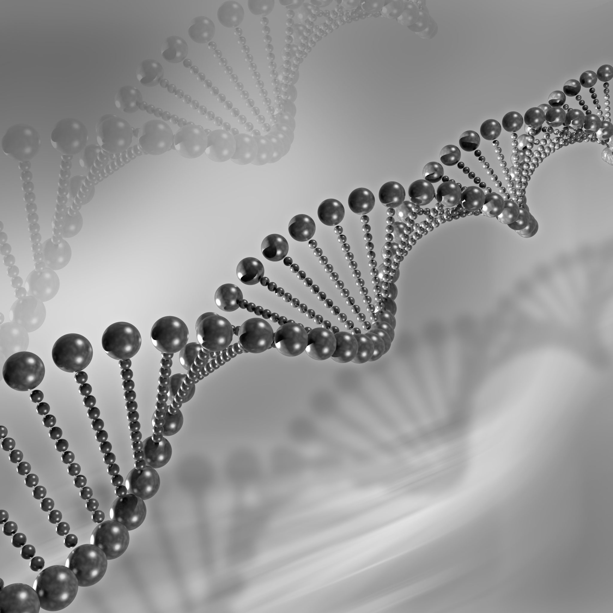 Temel DNA