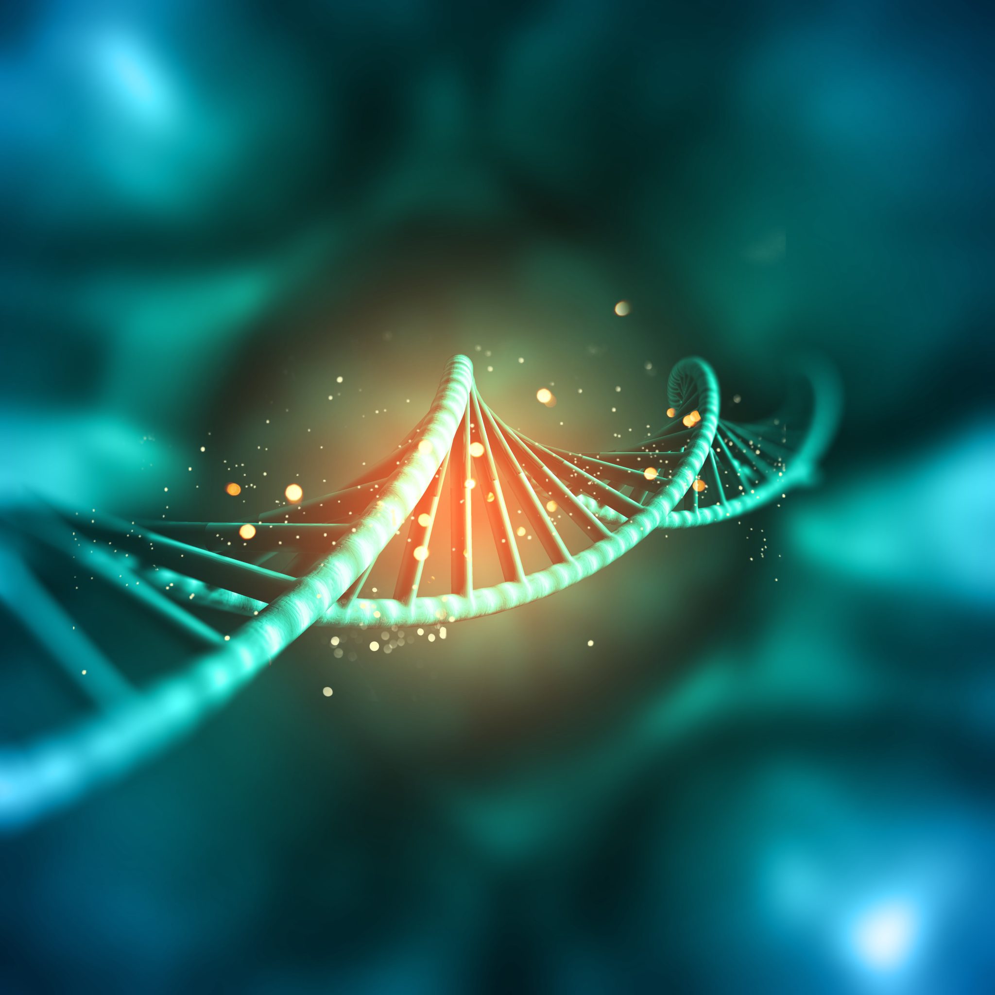 İleri DNA